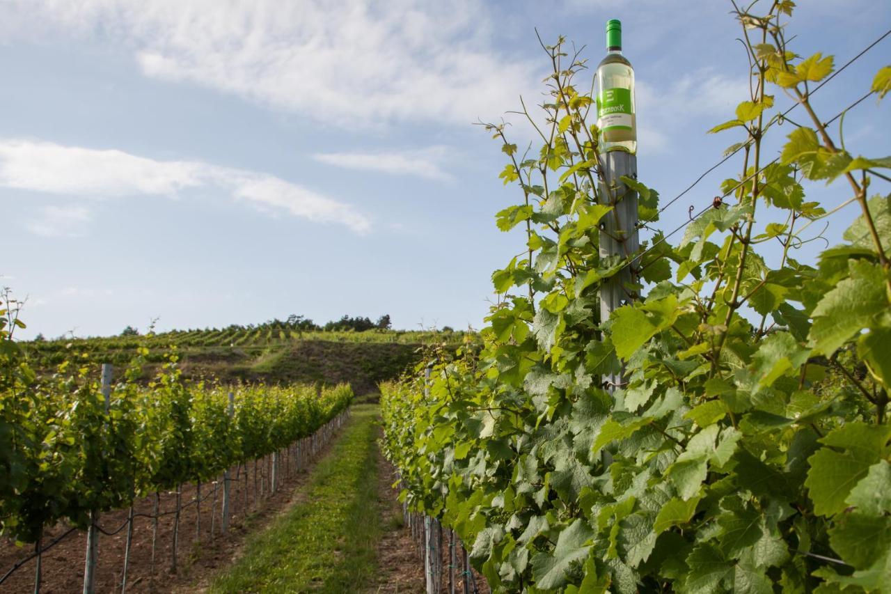 Ferienwohnung Am Weingut Eisenbock Strass  Kültér fotó